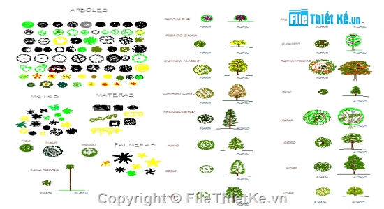 chi tiết họa tiết,Bản vẽ autocad,cad cây